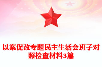 以案促改專題民主生活會班子對照檢查材料3篇
