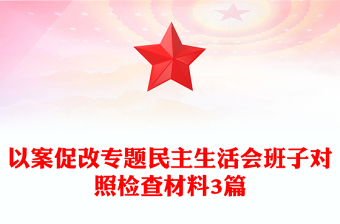 以案促改專題民主生活會班子對照檢查材料3篇