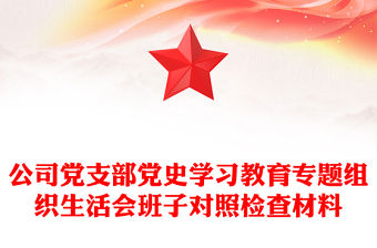 公司黨支部黨史學(xué)習(xí)教育專題組織生活會(huì)班子對照檢查材料