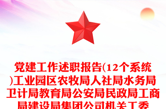 黨建工作述職報告(12個系統(tǒng))工業(yè)園區(qū)農(nóng)牧局人社局水務(wù)局衛(wèi)計局教育局公安局民政局工商局建設(shè)局集團(tuán)公司機(jī)關(guān)工委