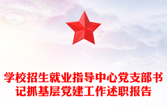 學(xué)校招生就業(yè)指導(dǎo)中心黨支部書記抓基層黨建工作述職報告