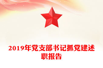 2019年黨支部書記抓黨建述職報告