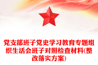 黨支部班子黨史學(xué)習(xí)教育專題組織生活會(huì)班子對(duì)照檢查材料(整改落實(shí)方案)