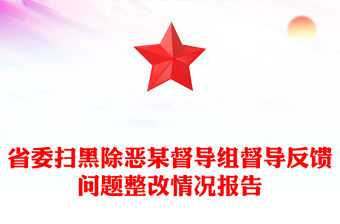 省委掃黑除惡某督導組督導反饋問題整改情況報告