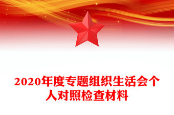 2020年度專題組織生活會個人對照檢查材料