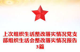 上次組織生活整改落實情況黨支部組織生活會整改落實情況報告3篇
