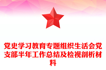 黨史學(xué)習(xí)教育專題組織生活會(huì)黨支部半年工作總結(jié)及檢視剖析材料