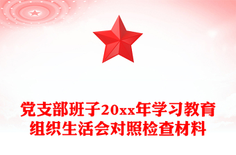 黨支部班子20xx年學習教育組織生活會對照檢查材料