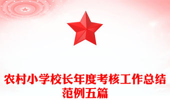 農村小學校長年度考核工作總結范例五篇