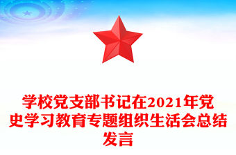 學校黨支部書記在2021年黨史學習教育專題組織生活會總結發言