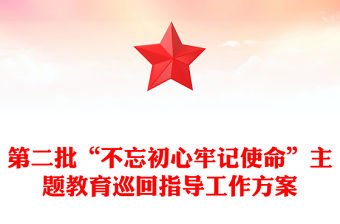 第二批“不忘初心牢記使命”主題教育巡回指導工作方案