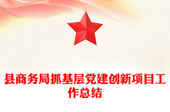 縣商務(wù)局抓基層黨建創(chuàng)新項目工作總結(jié)