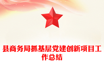 縣商務(wù)局抓基層黨建創(chuàng)新項(xiàng)目工作總結(jié)