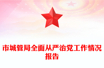 市城管局全面從嚴治黨工作情況報告