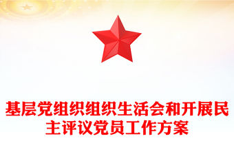 基層黨組織組織生活會和開展民主評議黨員工作方案
