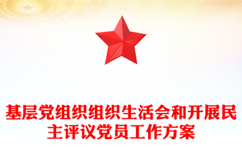 基層黨組織組織生活會和開展民主評議黨員工作方案