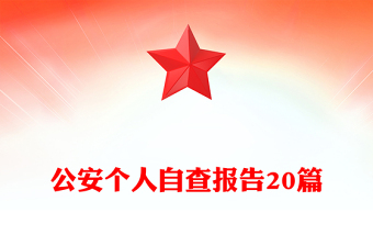 公安個人自查報告20篇