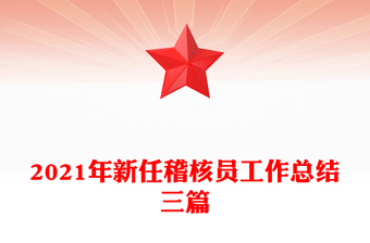 2021年新任稽核員工作總結三篇