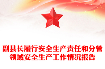 副縣長(zhǎng)履行安全生產(chǎn)責(zé)任和分管領(lǐng)域安全生產(chǎn)工作情況報(bào)告