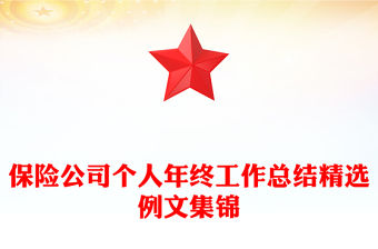 保險公司個人年終工作總結精選例文集錦
