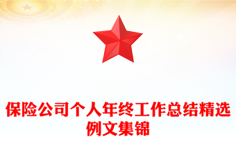 保險公司個人年終工作總結(jié)精選例文集錦