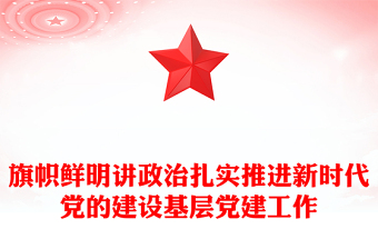 旗幟鮮明講政治扎實推進(jìn)新時代黨的建設(shè)基層黨建工作