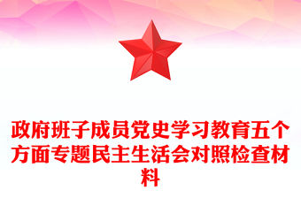 政府班子成員黨史學習教育五個方面專題民主生活會對照檢查材料