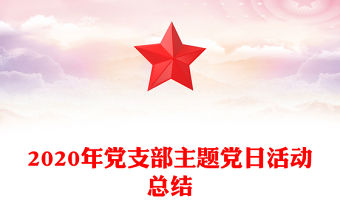 2020年黨支部主題黨日活動總結