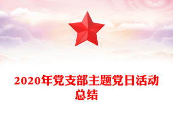 2020年黨支部主題黨日活動總結(jié)