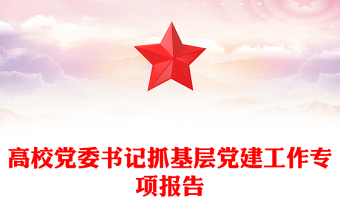 高校黨委書記抓基層黨建工作專項報告