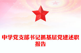 中學黨支部書記抓基層黨建述職報告