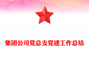 集團公司黨總支黨建工作總結(jié)