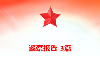 巡察報告 3篇