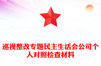 巡視整改專題民主生活會公司個人對照檢查材料
