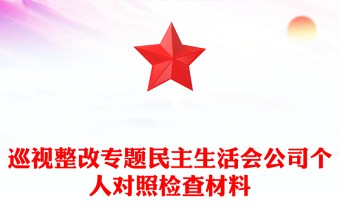 巡視整改專題民主生活會公司個人對照檢查材料