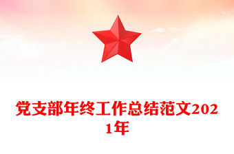 黨支部年終工作總結(jié)范文2021年