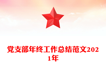 黨支部年終工作總結(jié)范文2021年
