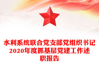 水利系統(tǒng)聯(lián)合黨支部黨組織書記2020年度抓基層黨建工作述職報告