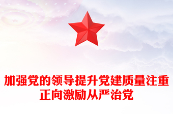 加強黨的領(lǐng)導(dǎo)提升黨建質(zhì)量注重正向激勵從嚴(yán)治黨