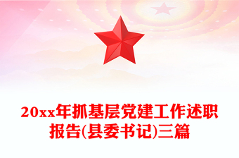 20xx年抓基層黨建工作述職報(bào)告(縣委書記)三篇