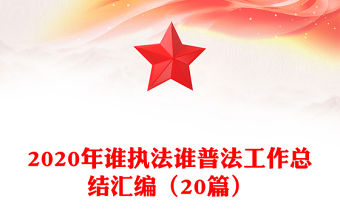 2020年誰執法誰普法工作總結匯編（20篇）