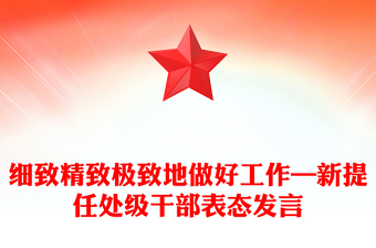細(xì)致精致極致地做好工作—新提任處級(jí)干部表態(tài)發(fā)言