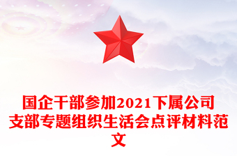 國(guó)企干部參加2021下屬公司支部專(zhuān)題組織生活會(huì)點(diǎn)評(píng)材料范文