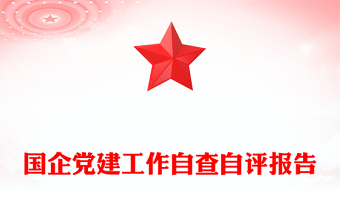 國企黨建工作自查自評報告