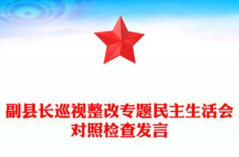 副縣長巡視整改專題民主生活會對照檢查發(fā)言