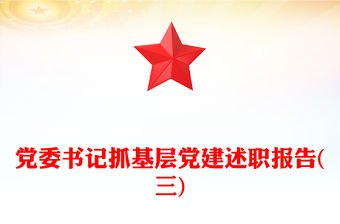 黨委書記抓基層黨建述職報告(三)