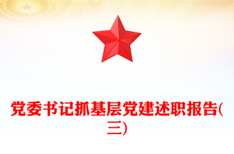 黨委書(shū)記抓基層黨建述職報(bào)告(三)