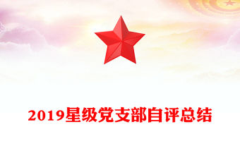 2019星級黨支部自評總結