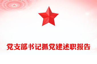 黨支部書記抓黨建述職報告