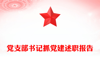 黨支部書記抓黨建述職報(bào)告